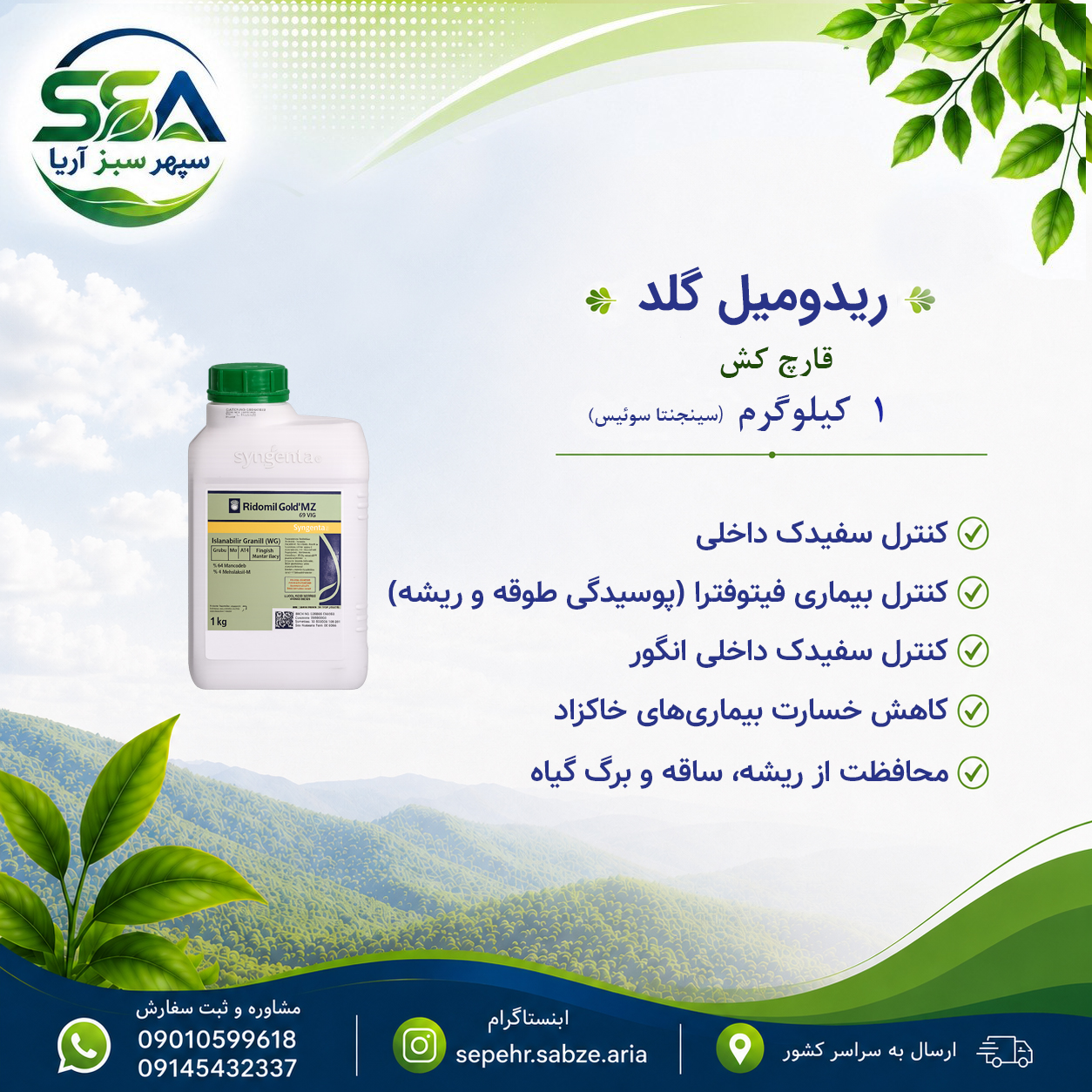 سم ریدو میل گلد قارچ کش سینجنتا سوئیس 1 کیلو گرم