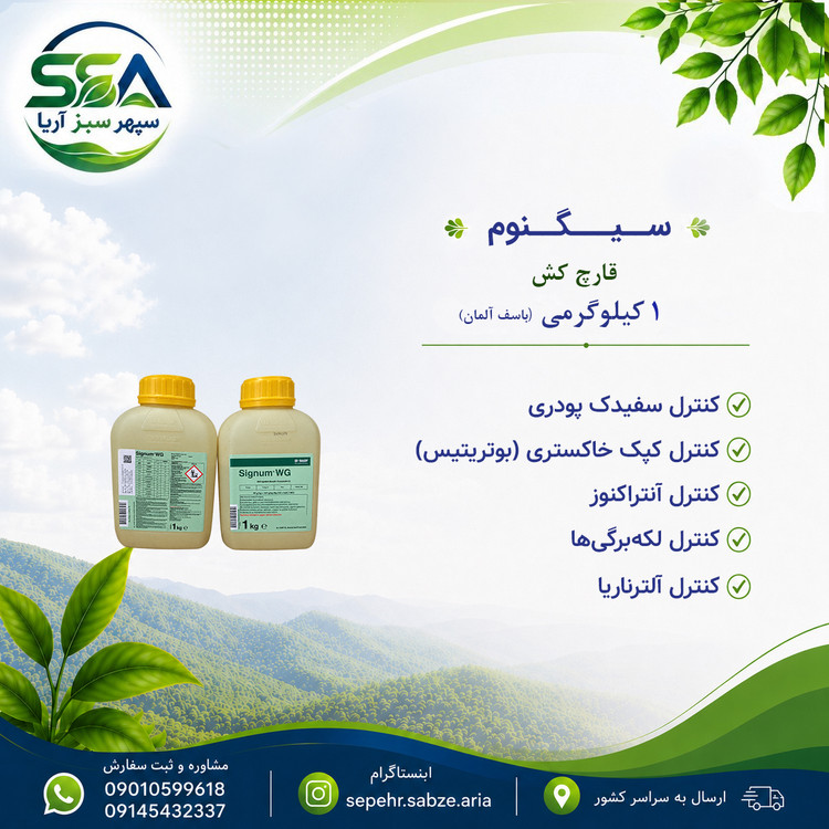 سم سیگنوم قارچ کش باسف آلمان 1 کیلوگرمی